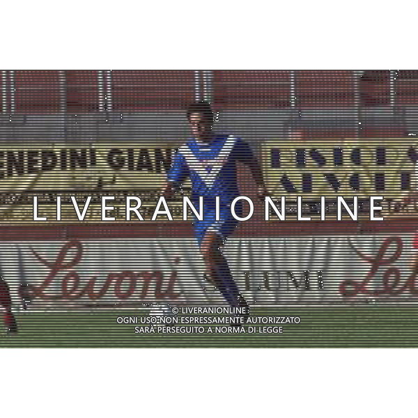 RETROSPETTIVA BRESCIA CALCIO 2001 NELLA FOTO LUCA TONI CALCIATORE AGENZIA ALDO LIVERANI SAS