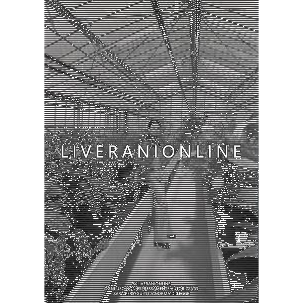RETROSPETTIVA ROSANNA FRATELLO CANTANTE NELLA FOTO ROSANNA FRATELLO A GALLARATE ALLA SERRA IDEA VERDE NELL\'ANNO 1972 AG ALDO LIVERANI SAS