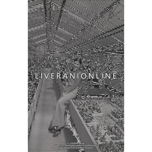 RETROSPETTIVA ROSANNA FRATELLO CANTANTE NELLA FOTO ROSANNA FRATELLO A GALLARATE ALLA SERRA IDEA VERDE NELL\'ANNO 1972 AG ALDO LIVERANI SAS