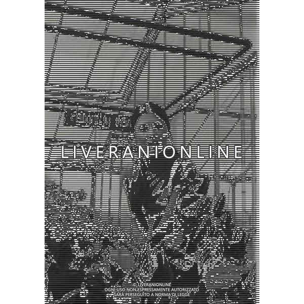 RETROSPETTIVA ROSANNA FRATELLO CANTANTE NELLA FOTO ROSANNA FRATELLO A GALLARATE ALLA SERRA IDEA VERDE NELL\'ANNO 1972 AG ALDO LIVERANI SAS