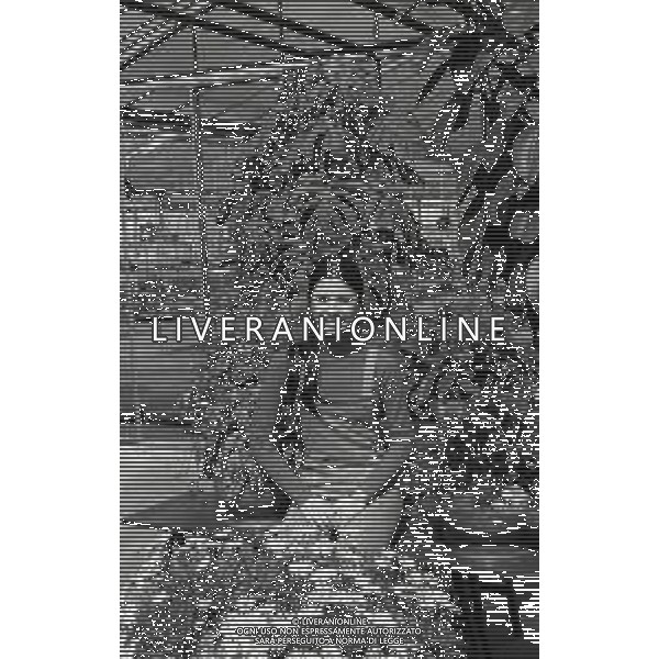 RETROSPETTIVA ROSANNA FRATELLO CANTANTE NELLA FOTO ROSANNA FRATELLO A GALLARATE ALLA SERRA IDEA VERDE NELL\'ANNO 1972 AG ALDO LIVERANI SAS