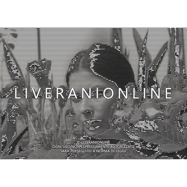 RETROSPETTIVA ROSANNA FRATELLO CANTANTE NELLA FOTO ROSANNA FRATELLO A GALLARATE ALLA SERRA IDEA VERDE NELL\'ANNO 1972 AG ALDO LIVERANI SAS