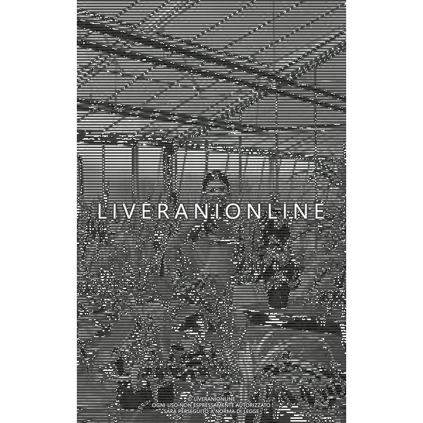 RETROSPETTIVA ROSANNA FRATELLO CANTANTE NELLA FOTO ROSANNA FRATELLO A GALLARATE ALLA SERRA IDEA VERDE NELL\'ANNO 1972 AG ALDO LIVERANI SAS