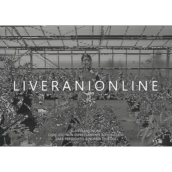 RETROSPETTIVA ROSANNA FRATELLO CANTANTE NELLA FOTO ROSANNA FRATELLO A GALLARATE ALLA SERRA IDEA VERDE NELL\'ANNO 1972 AG ALDO LIVERANI SAS