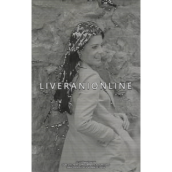 RETROSPETTIVA ROSANNA FRATELLO CANTANTE NELLA FOTO ROSANNA FRATELLO A SAINT VINCENT NELL\'ANNO 1973 AG ALDO LIVERANI SAS