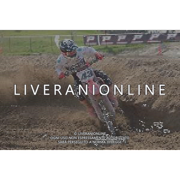 Tommasinio/LMedia - MX Internazionali Italia 2021 - MX1 Category - Motocross 14 March 2021 - Tazio Nuvolari track, mantova, Italy Photo showing: 43 - Davide De Bortoli (ITA) Honda @Tommasinio/LMedia AG ALDO LIVERANI SAS
