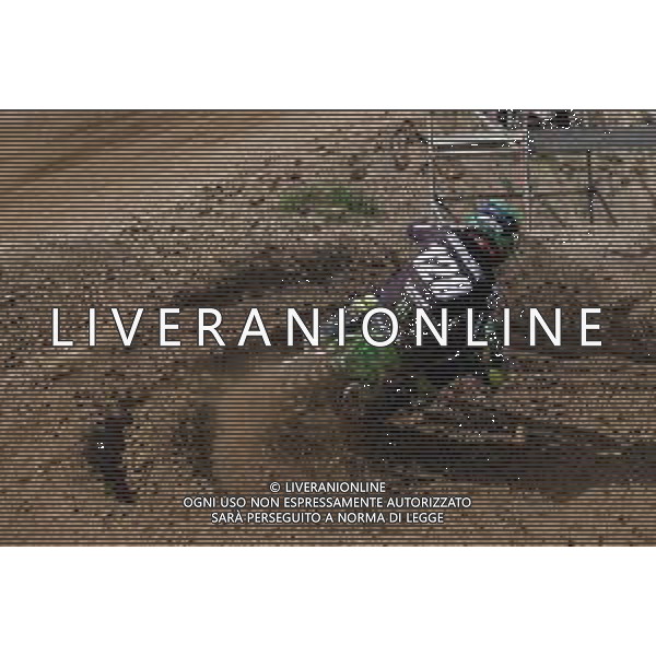 Tommasinio/LMedia - MX Internazionali Italia 2021 - MX1 Category - Motocross 14 March 2021 - Tazio Nuvolari track, mantova, Italy Photo showing: 128 - Ivo Monticelli (ITA) Kawasaki @Tommasinio/LMedia AG ALDO LIVERANI SAS