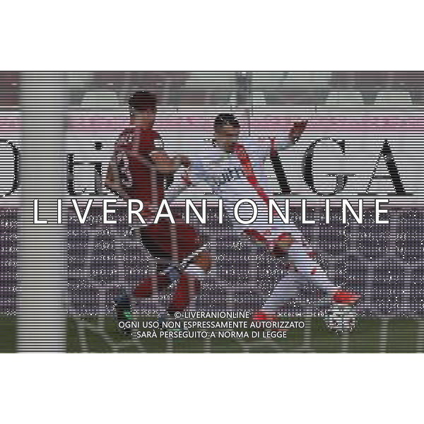 REGGINA - MONZA CAMPIONATO CALCIO SERIE BKT 13.03.2021 NELLA FOTO DANY MOTA CARVALHO (MONZA) E THIAGO CIONEK (REGGINA) ©GAREFFA / AGENZIA ALDO LIVERANI SAS
