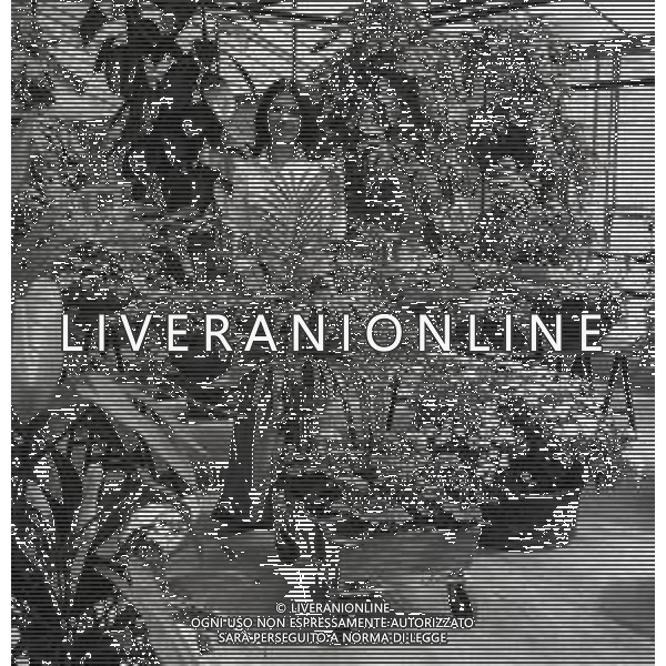 RETROSPETTIVA ROSANNA FRATELLO CANTANTE NELLA FOTO ROSANNA FRATELLO A GALLARATE ALLA SERRA IDEA VERDE NELL\'ANNO 1972 AG ALDO LIVERANI SAS