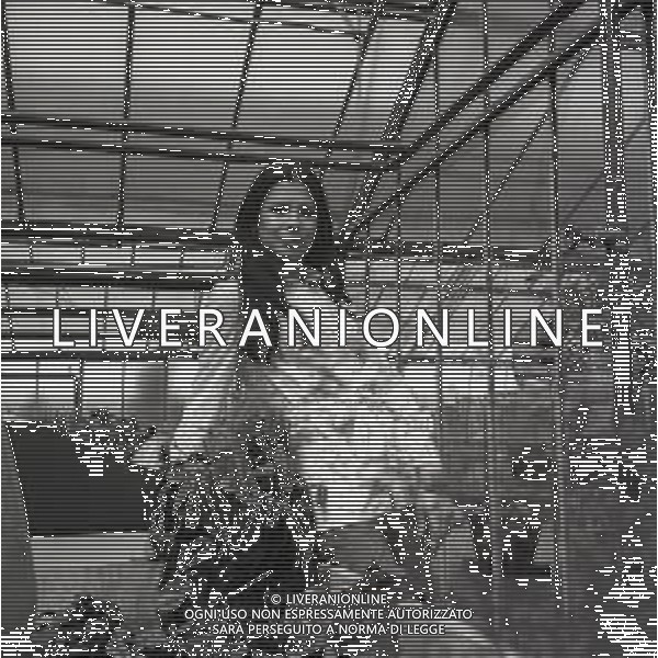 RETROSPETTIVA ROSANNA FRATELLO CANTANTE NELLA FOTO ROSANNA FRATELLO A GALLARATE ALLA SERRA IDEA VERDE NELL\'ANNO 1972 AG ALDO LIVERANI SAS