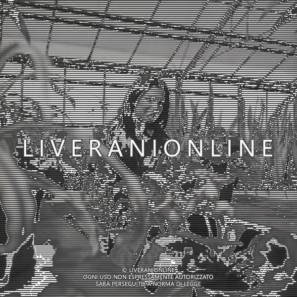 RETROSPETTIVA ROSANNA FRATELLO CANTANTE NELLA FOTO ROSANNA FRATELLO A GALLARATE ALLA SERRA IDEA VERDE NELL\'ANNO 1972 AG ALDO LIVERANI SAS