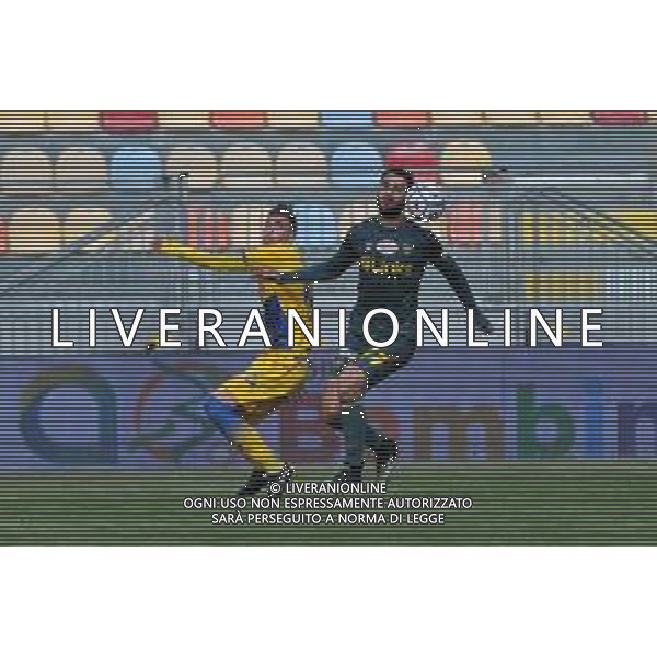 Frosinone vs Lecce Campionato Serie B - 30 Giornata Stadio B.Stirpe - Frosinone 20-03-2021 nella foto Tachtsidis e Tribuzzi ©Federico Gaetano / AGENZIA ALDO LIVERANI SAS