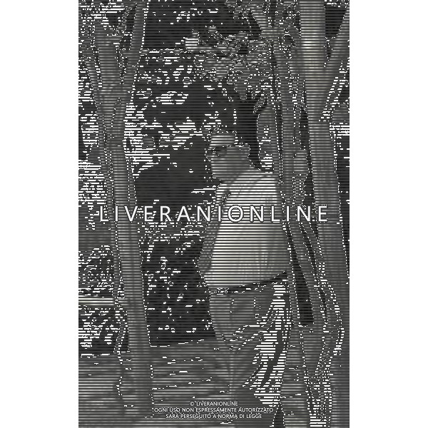 RETROSPETTIVA NILS LIEDHOLM ALLENATORE CALCIO NELLA FOTO NEREO ROCCO A MILANELLO NELL\'ANNO 1977 AG ALDO LIVERANI SAS 