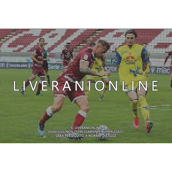 REGGINA - CHIEVO CAMPIONATO CALCIO SERIE B 21.03.2021 NELLA FOTO GERMAN DENIS E MICHELE BRAGANTINI ©GAREFFA / AGENZIA ALDO LIVERANI SAS
