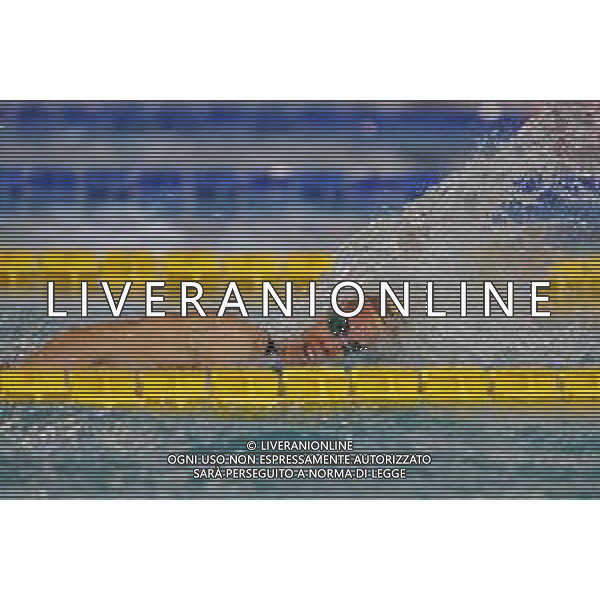 Riccione 03/04/2021 - CAMPIONATO ITALIANO UNIPOLSAI ASSOLUTO DI NUOTO PRIMAVERILE- nella foto: caramignoli martina rita ©Claudio Zamagni/Agenzia Aldo Liverani