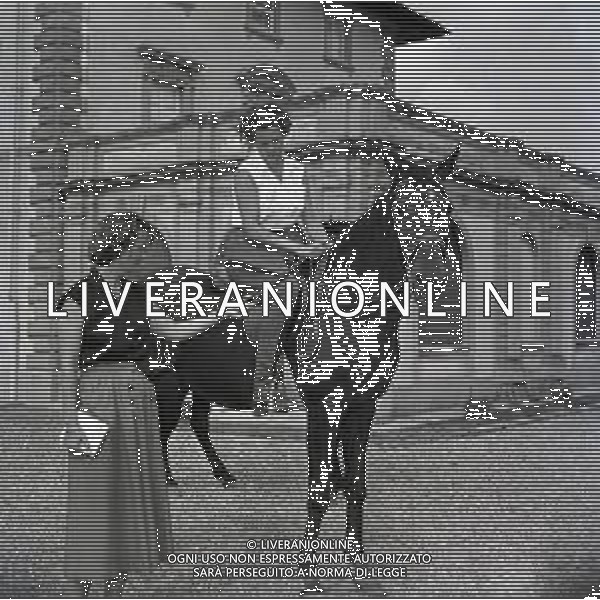 RETROSPETTIVA MARIA PIA DI SAVOLIA -REALI- NELLA FOTO MARIA PIA DI SAVOIA A PRATOLINO NELL\'ANNO 1950 AG ALDO LIVERANI SAS 