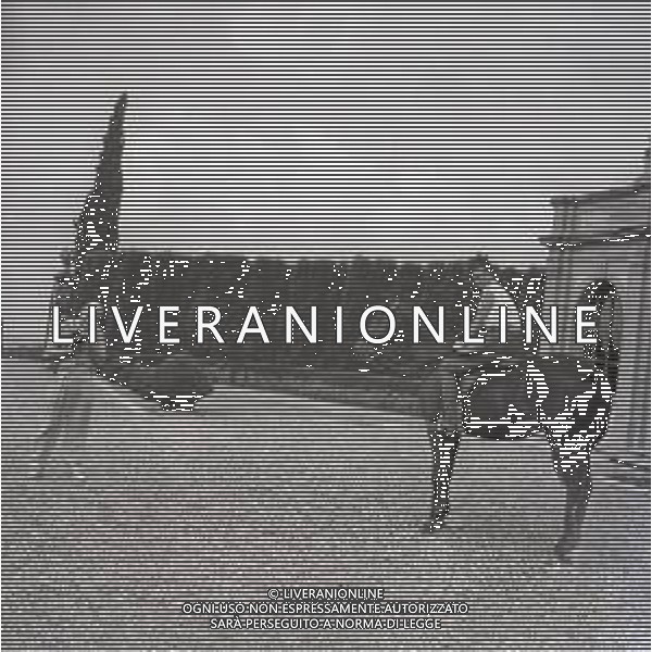 RETROSPETTIVA MARIA PIA DI SAVOLIA -REALI- NELLA FOTO MARIA PIA DI SAVOIA A PRATOLINO NELL\'ANNO 1950 AG ALDO LIVERANI SAS