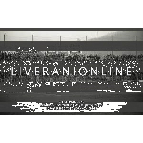 27-11-1994 BRESCIA CAMPIONATO DI CALCIO SERIE A BRESCIA -BARI 1-2 NELLA FOTO TIFOSI BRESCIA CALCIO AG ALDO LIVERANI SAS