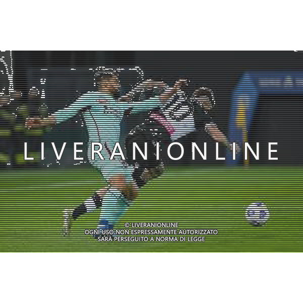 Griffonit/LMedia - Udinese Calcio vs Torino FC - Italian football Serie A match 2020/2021 10 April 2021 - Dacia Arena Friuli stadium, udine, Italy Photo showing: Tomas Rincon (Torino) in action against Rodrigo De Paul (Udinese) @Griffonit/LMedia/ AGENZIA ALDO LIVERANI SAS
