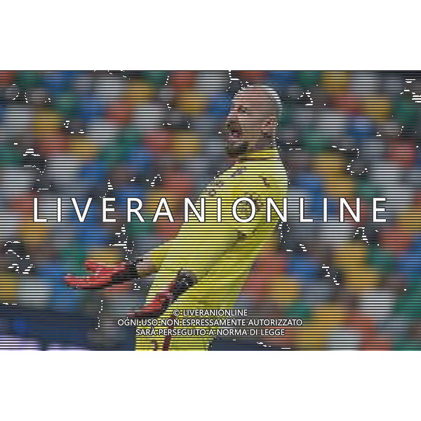 Griffonit/LMedia - Udinese Calcio vs Torino FC - Italian football Serie A match 2020/2021 10 April 2021 - Dacia Arena Friuli stadium, udine, Italy Photo showing: Disappointment, frustration of Vanja Milinkovic-Savic (Torino) @Griffonit/LMedia/ AGENZIA ALDO LIVERANI SAS