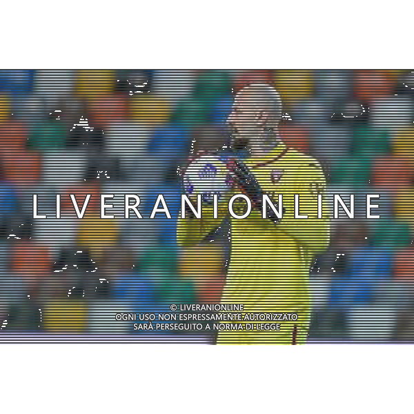 Griffonit/LMedia - Udinese Calcio vs Torino FC - Italian football Serie A match 2020/2021 10 April 2021 - Dacia Arena Friuli stadium, udine, Italy Photo showing: Vanja Milinkovic-Savic (Torino) portrait @Griffonit/LMedia AG ALDO LIVERANI SAS