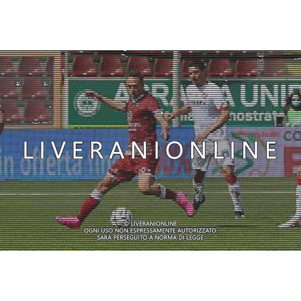 REGGINA - VICENZA CAMPIONATO CALCIO SERIE BKT 11.04.2021 NELLA FOTO SIMONE EDERA (REGGINA) E MATTEO BRUSCAGIN (VICENZA) ©GAREFFA / AGENZIA ALDO LIVERANI SAS