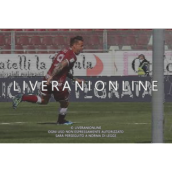 REGGINA - VICENZA CAMPIONATO CALCIO SERIE BKT 11.04.2021 NELLA FOTO ESULTANZA DOPO IL GOL DI GERMAN DENIS (REGGINA) ©GAREFFA / AGENZIA ALDO LIVERANI SAS