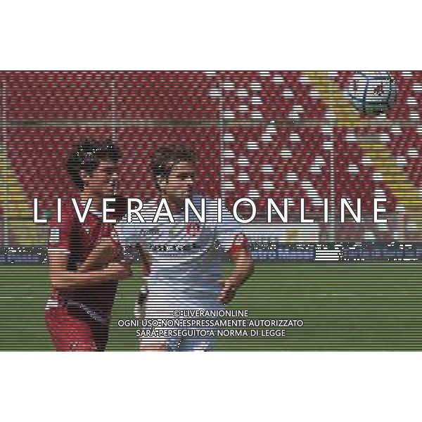 REGGINA - VICENZA CAMPIONATO CALCIO SERIE BKT 11.04.2021 NELLA FOTO GABRIELE GORI (VICENZA) E CHRISTIAN DALLE MURA (REGGINA) ©GAREFFA / AGENZIA ALDO LIVERANI SAS