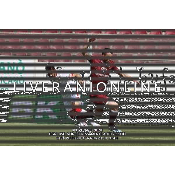 REGGINA - VICENZA CAMPIONATO CALCIO SERIE BKT 11.04.2021 NELLA FOTO ANDREA NALINI (VICENZA) E IVAN LAKICEVIC (REGGINA) ©GAREFFA / AGENZIA ALDO LIVERANI SAS