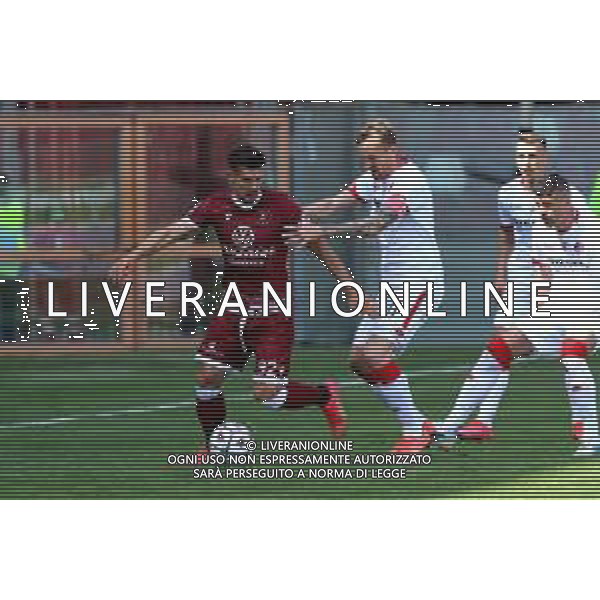 REGGINA - VICENZA CAMPIONATO CALCIO SERIE BKT 11.04.2021 NELLA FOTO MARIO SITUM (REGGINA) E LUCA RIGONI (VICENZA) ©GAREFFA / AGENZIA ALDO LIVERANI SAS