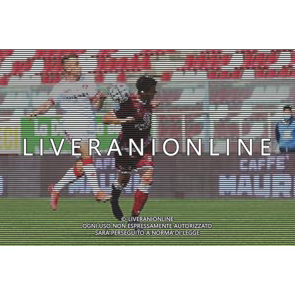 REGGINA - VICENZA CAMPIONATO CALCIO SERIE BKT 11.04.2021 NELLA FOTO JARI VANDEPUTTE (VICENZA) E LORENZO CRISETIG (REGGINA) ©GAREFFA / AGENZIA ALDO LIVERANI SAS
