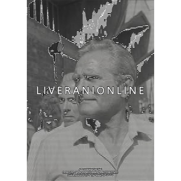 RETROSPETTIVA GIAMPIERO BONIPERTI PRESIDENTE JUVENTUS CALCIO NELLA FOTO GIAMPIERO BONIPERTI PRESIDENTE JUVENTUS CALCIO NELL\'ANNO 1985 AG ALDO LIVERANI SAS