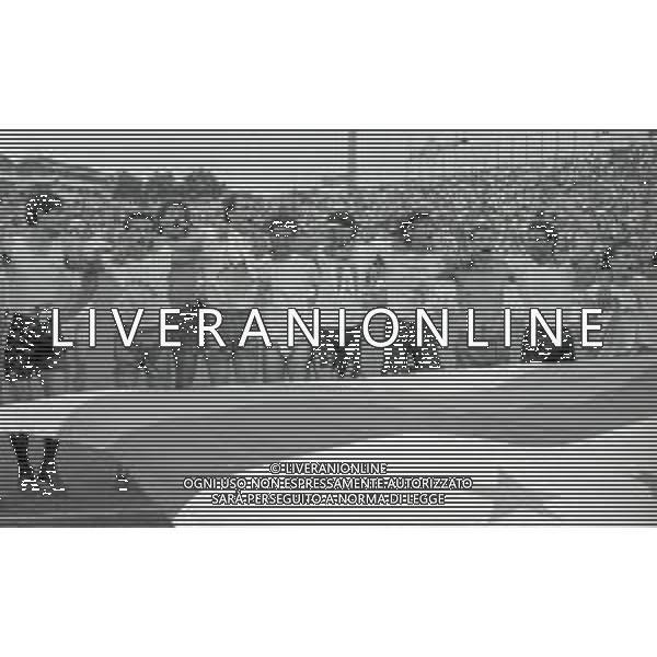 16-06-1991 CREMONA CAMPIONATO DI CALCIO SERIE B CREMONESE-AVELLINO 0-0 NELLA FOTO GIOCATORI DELLA CREMONESE FESTEGGIANO LA PROMOZIONE IN SERIE A AG ALDO LIVERANI SAS