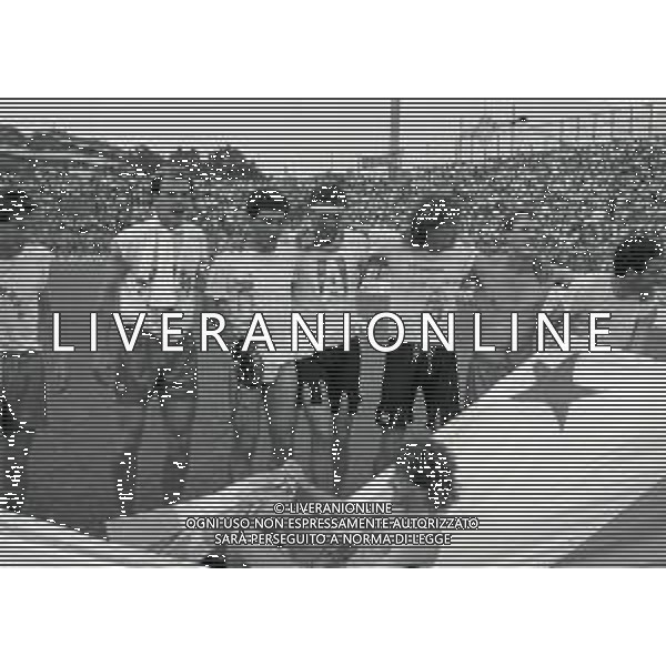 16-06-1991 CREMONA CAMPIONATO DI CALCIO SERIE B CREMONESE-AVELLINO 0-0 NELLA FOTO GIOCATORI DELLA CREMONESE FESTEGGIANO LA PROMOZIONE IN SERIE A AG ALDO LIVERANI SAS 