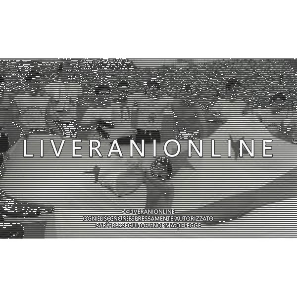 16-06-1991 CREMONA CAMPIONATO DI CALCIO SERIE B CREMONESE-AVELLINO 0-0 NELLA FOTO GIOCATORI DELLA CREMONESE FESTEGGIANO LA PROMOZIONE IN SERIE A AG ALDO LIVERANI SAS 