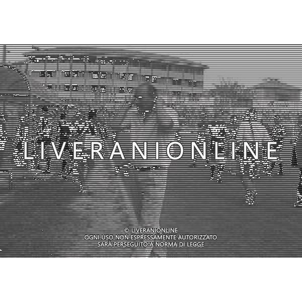 16-06-1991 REGGIO EMILIA CAMPIONATO DI CALCIO SERIE B REGGIANA ASCOLI 3-3 NELLA FOTO NEDO SONETTI ALLENATORE ASCOLI CALCIO AG ALDO LIVERANI SAS
