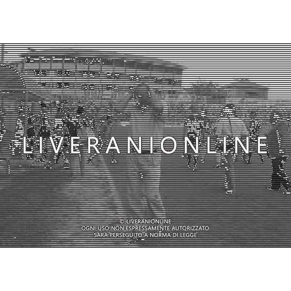 16-06-1991 REGGIO EMILIA CAMPIONATO DI CALCIO SERIE B REGGIANA ASCOLI 3-3 NELLA FOTO NEDO SONETTI ALLENATORE ASCOLI CALCIO AG ALDO LIVERANI SAS