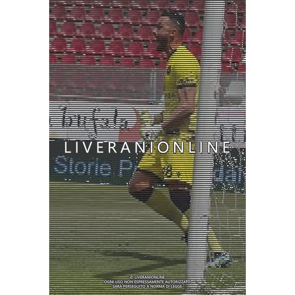REGGINA - ASCOLI CAMPIONATO CALCIO SERIE B 04.05.2021 NELLA FOTO ESULTANZA DOPO IL RIGORE PARATO DA ANDRADE NICOLAS ©PASQUALE GAREFFA / AGENZIA ALDO LIVERANI SAS