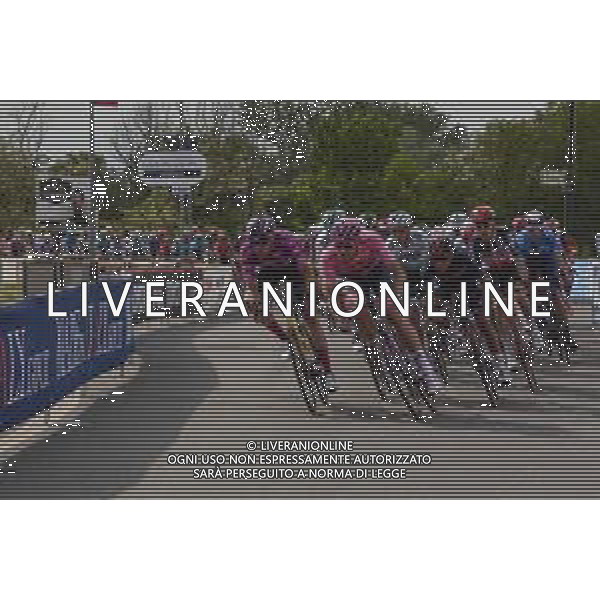 09-05-2021 Giro D\'italia; Tappa 02 Stupinigi - Novara; 2021, Ineos Grenadiers; 2021, Jumbo - Visma; Ganna, Filippo; Affini, Edoardo; Bernal Gomez, Arley; Novara; ©SIROTTI / AGENZIA ALDO LIVERANI SAS