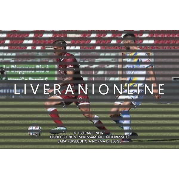 REGGINA - FROSINONE CAMPIONATO CALCIO SERIE BKT 10.05.2021 NELLA FOTO GERMAN DENIS (REGGINA) E MARCO CARRARO (FROSINONE) ©PASQUALE GAREFFA / AGENZIA ALDO LIVERANI SAS