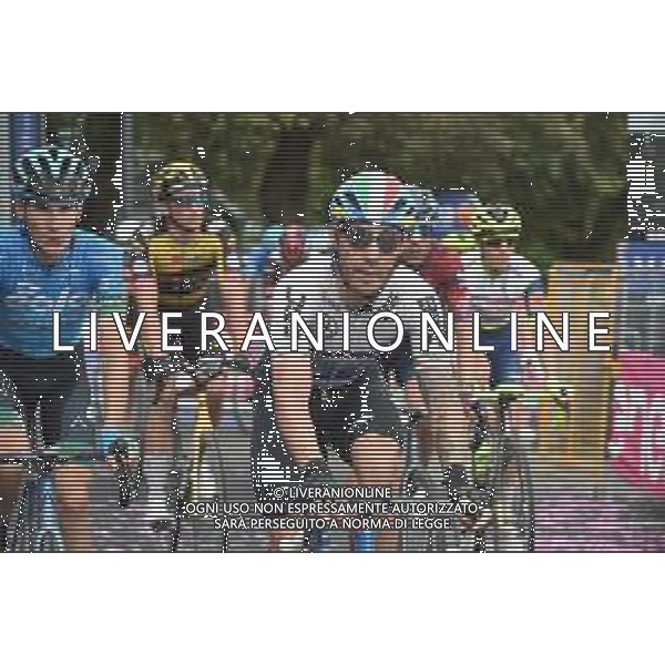19-05-2021 Giro D\'italia; Tappa 11 Perugia - Montalcino; 2021, Qhubeka - Assos; Nizzolo, Giacomo; Montalcino; ©SIROTTI /AGENZIA ALDO LIVERANI SAS