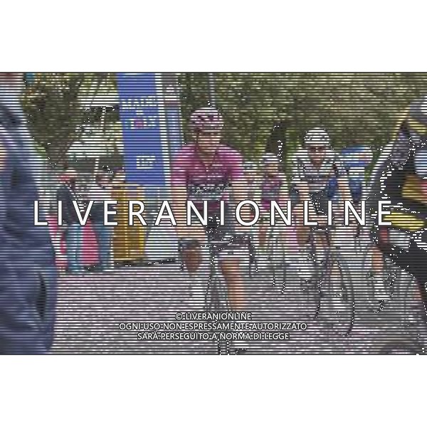 19-05-2021 Giro D\'italia; Tappa 11 Perugia - Montalcino; 2021, Bora - Hansgrohe; Sagan, Peter; Montalcino; ©SIROTTI /AGENZIA ALDO LIVERANI SAS