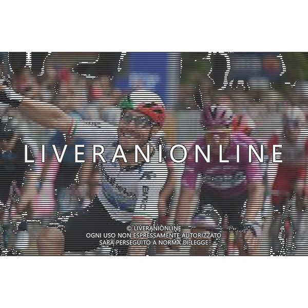 21-05-2021 Giro D\'italia; Tappa 13 Ravenna - Verona; 2021, Qhubeka - Assos; Nizzolo, Giacomo; Verona; ©SIROTTI/AGENZIA ALDO LIVERANI SAS