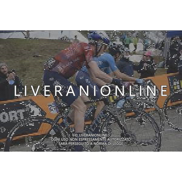 22-05-2021 Giro D\'italia; Tappa 14 Cittadella - Monte Zoncolan; 2021, Israel Start Up Nation; Martin, Daniel; Monte Zoncolan; FOTO STEFANO SIROTTI-AG ALDO LIVERANI SAS