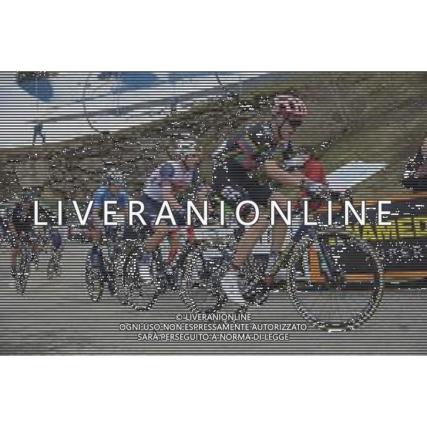 22-05-2021 Giro D\'italia; Tappa 14 Cittadella - Monte Zoncolan; 2021, Ef Education - Nippo; Carthy, Hugh; Monte Zoncolan; FOTO STEFANO SIROTTI-AG ALDO LIVERANI SAS