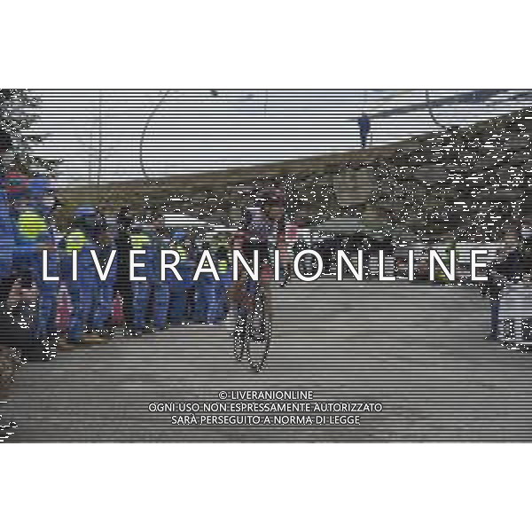 22-05-2021 Giro D\'italia; Tappa 14 Cittadella - Monte Zoncolan; 2021, Uae - Emirates; Covi, Alessandro; Monte Zoncolan; FOTO STEFANO SIROTTI-AG ALDO LIVERANI SAS