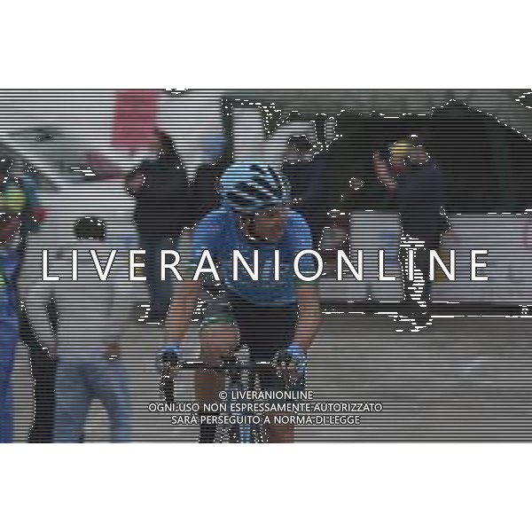 22-05-2021 Giro D\'italia; Tappa 14 Cittadella - Monte Zoncolan; 2021, Eolo - Kometa; Fortunato, Lorenzo; Monte Zoncolan; FOTO STEFANO SIROTTI-AG ALDO LIVERANI SAS