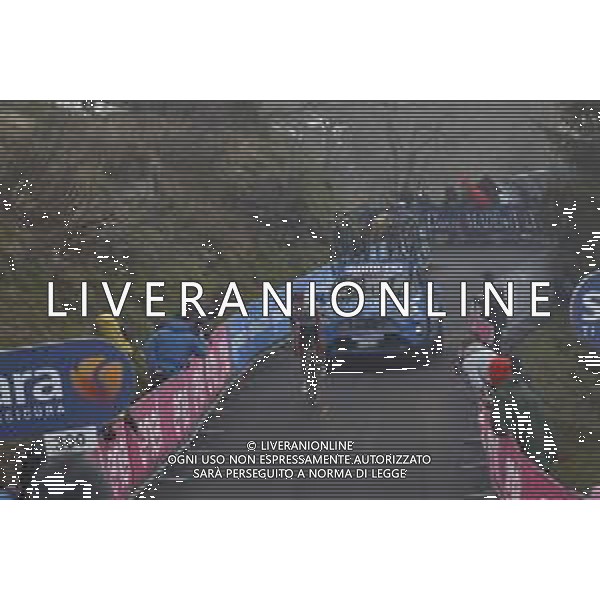 22-05-2021 Giro D\'italia; Tappa 14 Cittadella - Monte Zoncolan; 2021, Uae - Emirates; Covi, Alessandro; Monte Zoncolan; FOTO STEFANO SIROTTI-AG ALDO LIVERANI SAS