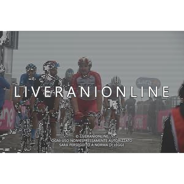 22-05-2021 Giro D\'italia; Tappa 14 Cittadella - Monte Zoncolan; 2021, Cofidis; Viviani, Elia; Monte Zoncolan; ©SIROTTI/AG. ALDO LIVERANI SAS