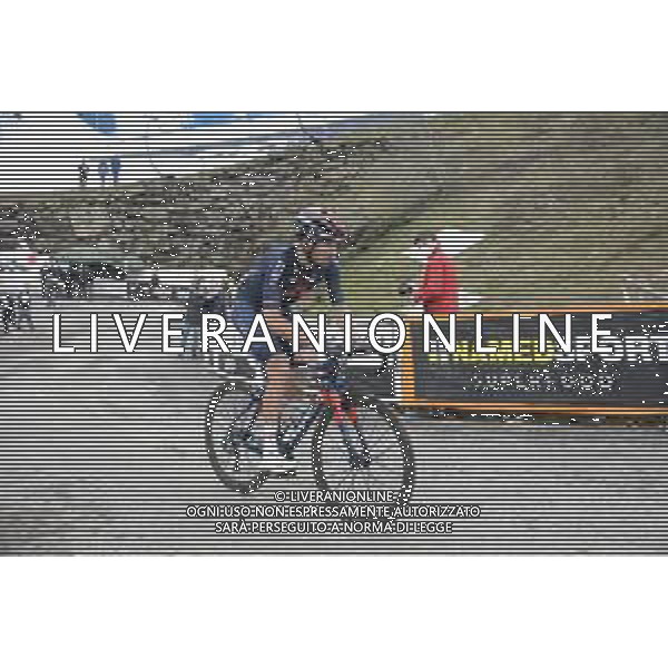 22-05-2021 Giro D\'italia; Tappa 14 Cittadella - Monte Zoncolan; 2021, Ineos Grenadiers; Moscon, Gianni; Monte Zoncolan; ©SIROTTI/AG. ALDO LIVERANI SAS